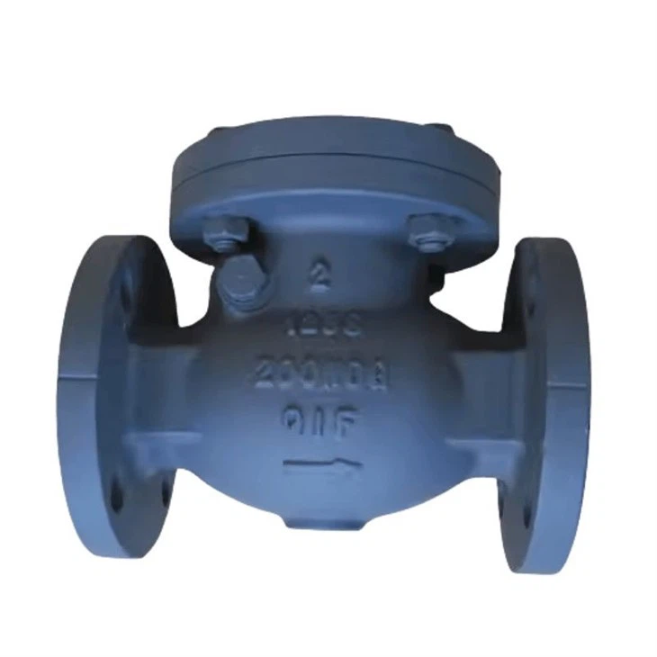 DIN PN16 Thread Ball Check Valve With Flange End